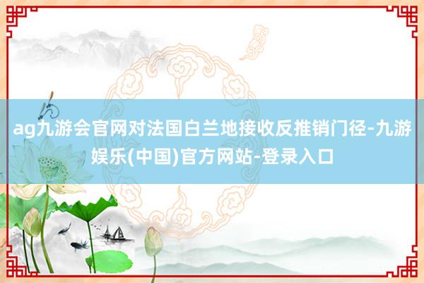 ag九游会官网对法国白兰地接收反推销门径-九游娱乐(中国)官方网站-登录入口