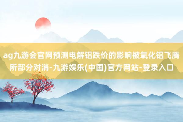 ag九游会官网预测电解铝跌价的影响被氧化铝飞腾所部分对消-九游娱乐(中国)官方网站-登录入口